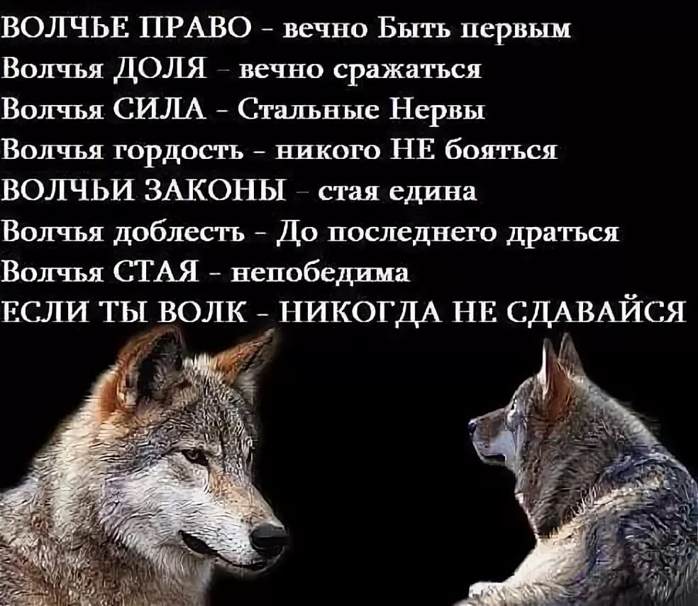 Цитаты о волках