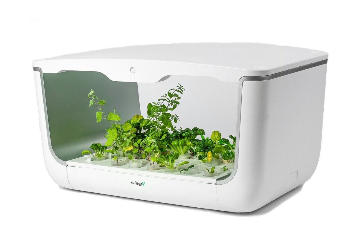 набор для выращивания vegebox домашняя cадовая ферма фото