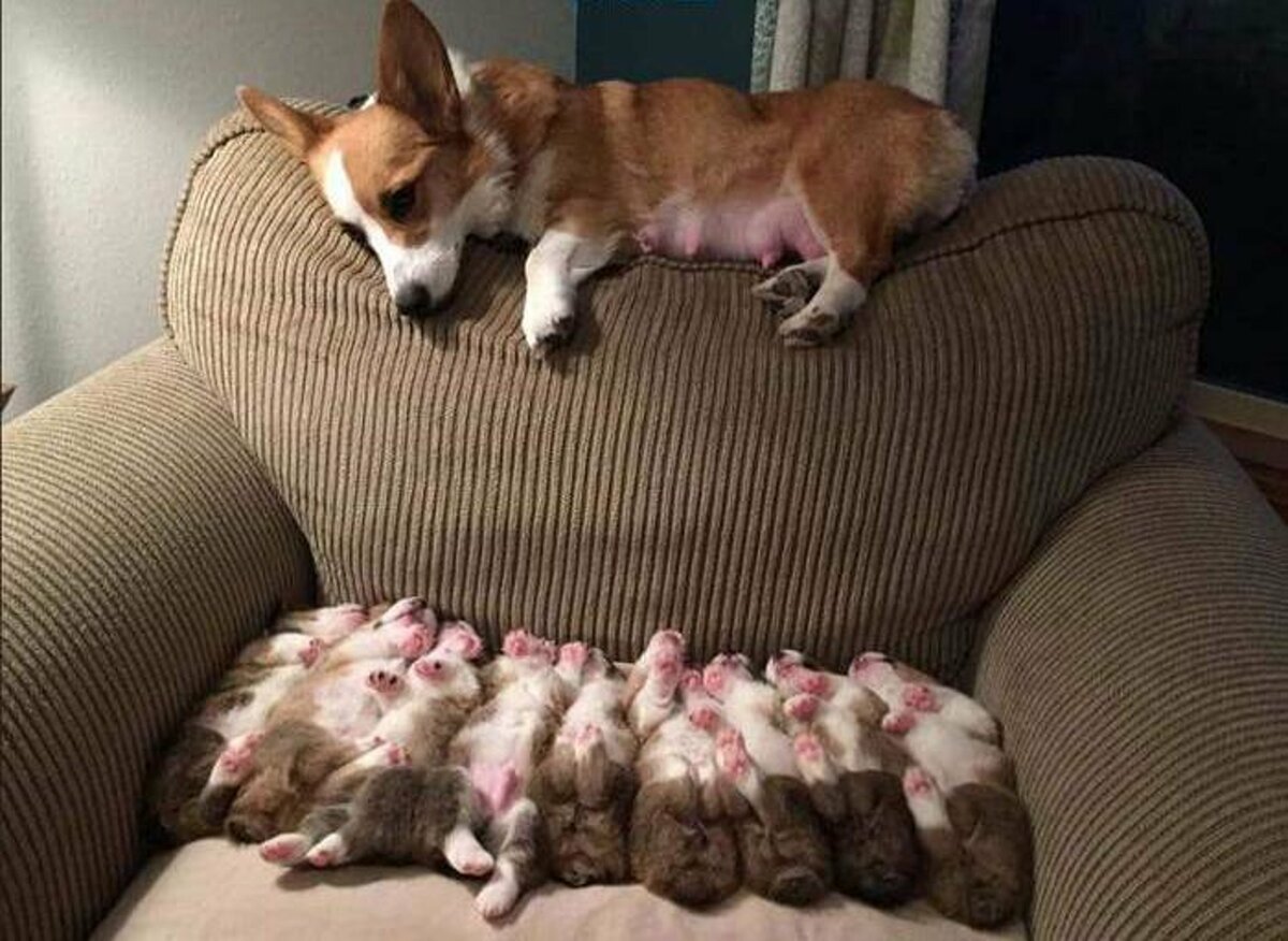 ��������, ���������� ����� ������� �������� �� ����