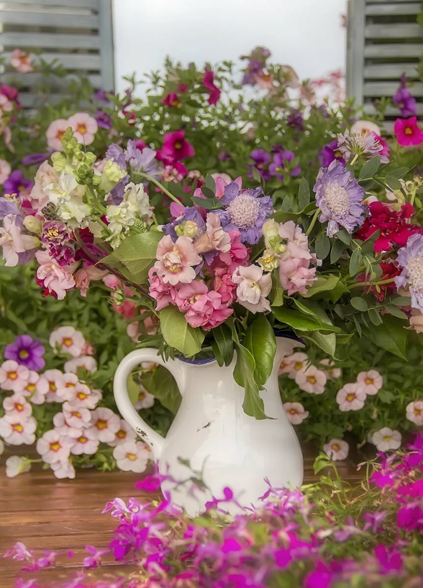 Картинки с цветами привет