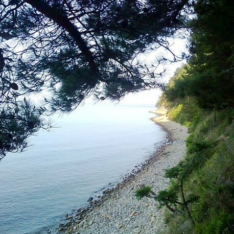 бетта краснодарский край фото