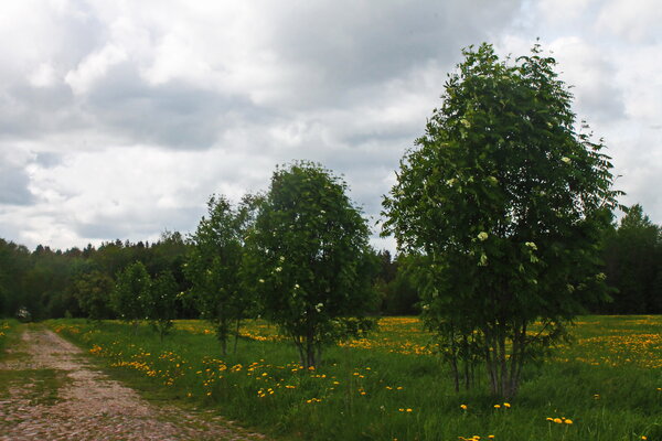 старая каретная дорога