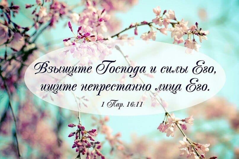 ������ �� ������ � ��������� �������� ����������