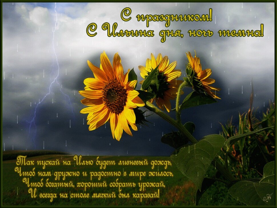 ��������, ����� ���� �������� ������������