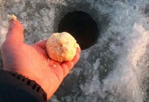 прикормка для плотвы зимой фото