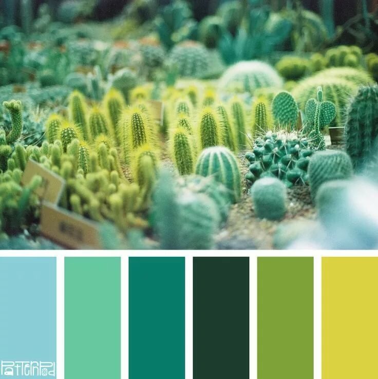 палитры in color balance серо голубой фото