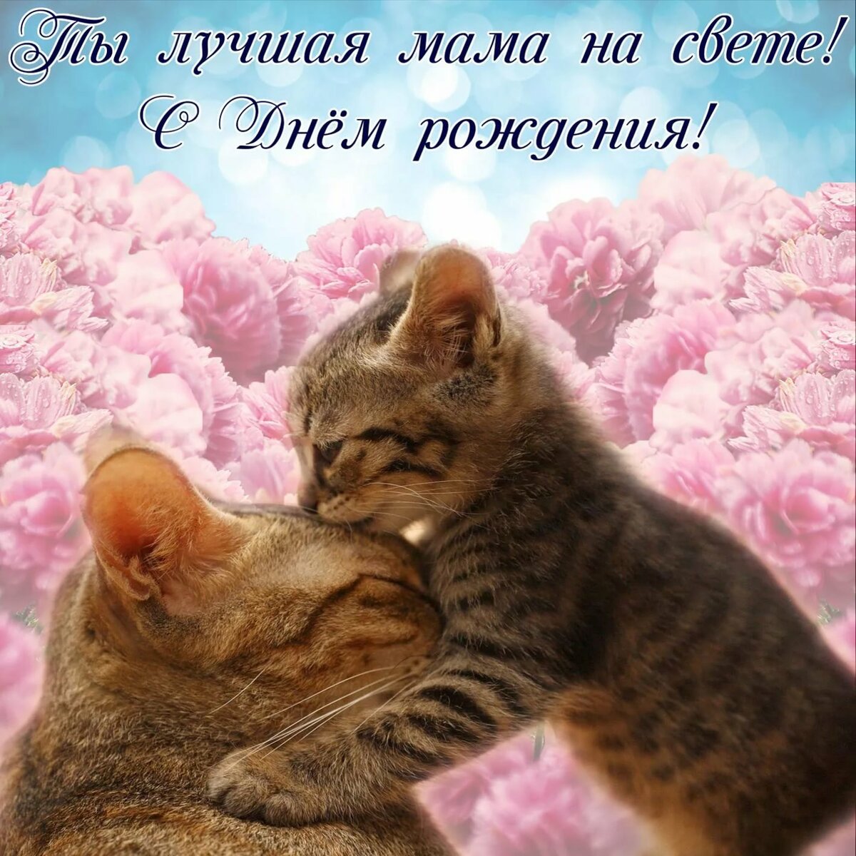 � ���� �������� ���� �� ������ �������� ����������