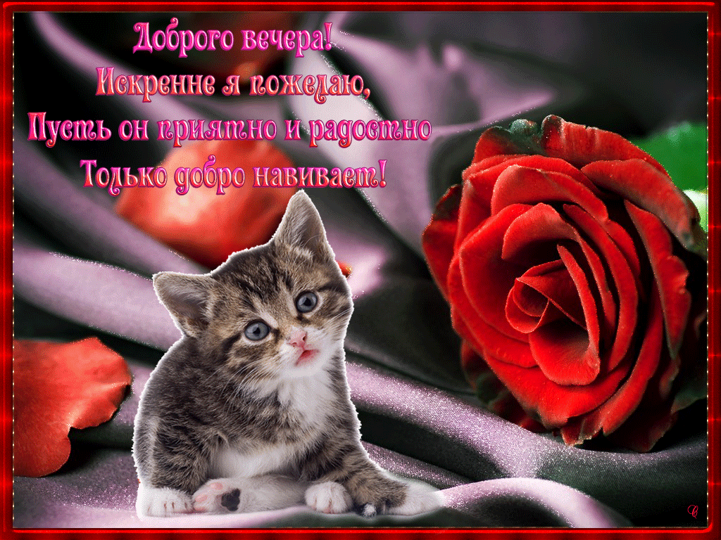 ����� �������� ��������� ������ �����, ���������� �������