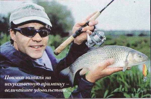 голавлиный спиннинг фото