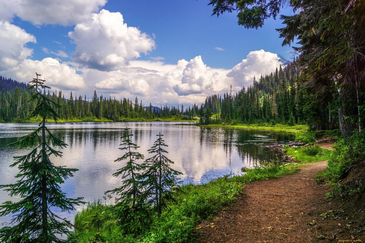 лето горы река тайга сибирь фото