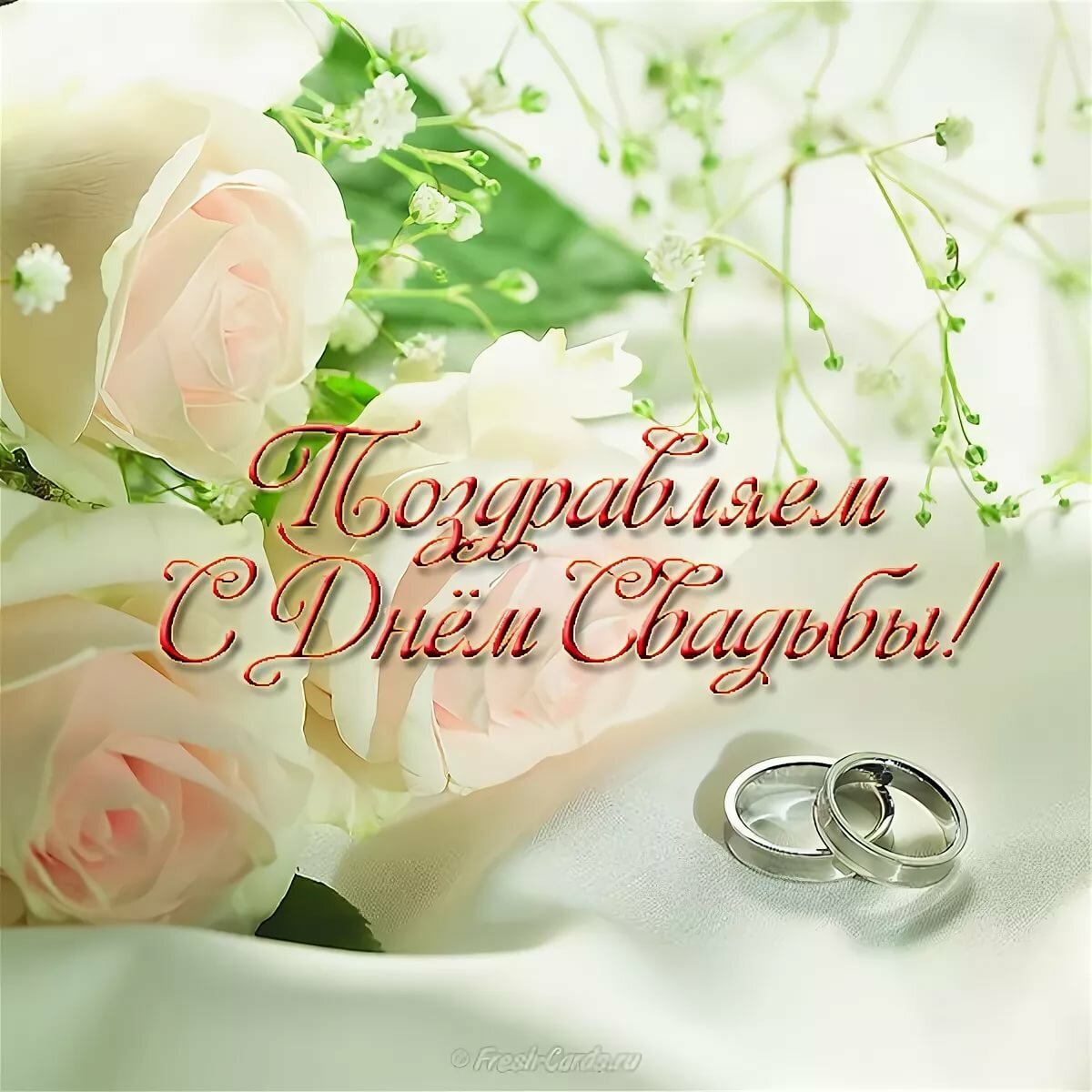 ������������ � ���� ������� �������� ��������, ���� �������� ��������