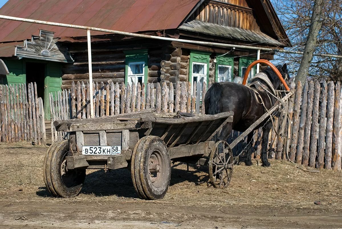 деревенские лошади с телегой фото