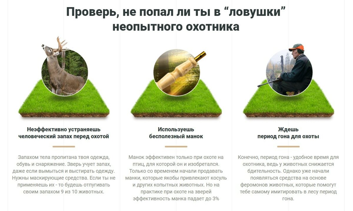 охота на косуль фото