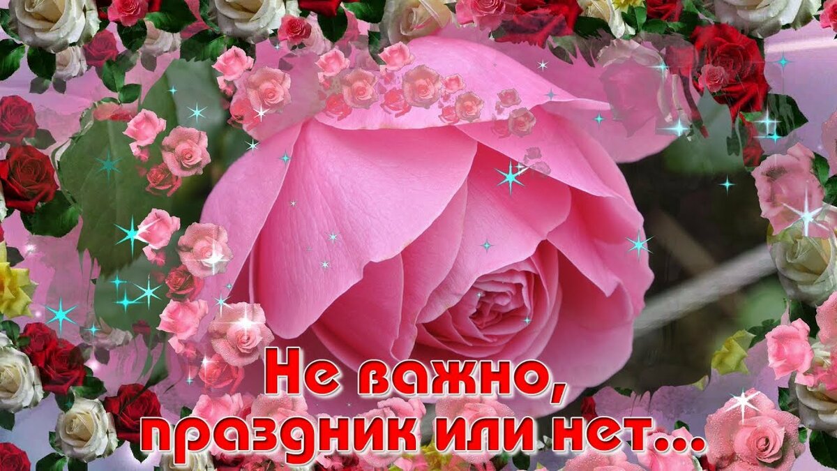 �������� �������� ����� ��������� ��������, ����������