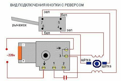 схема двигателя дрели