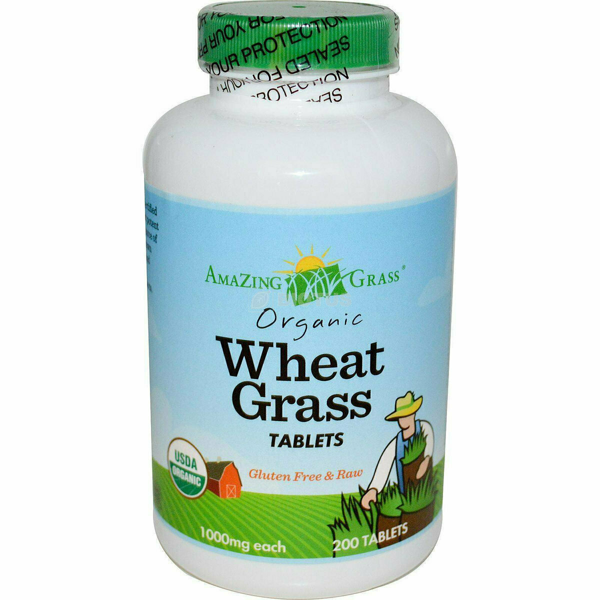 organic wheat grass фото