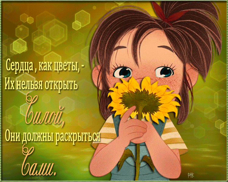 gif ��������, ��������� ��������, ��� ������, ��������, �������, ���������