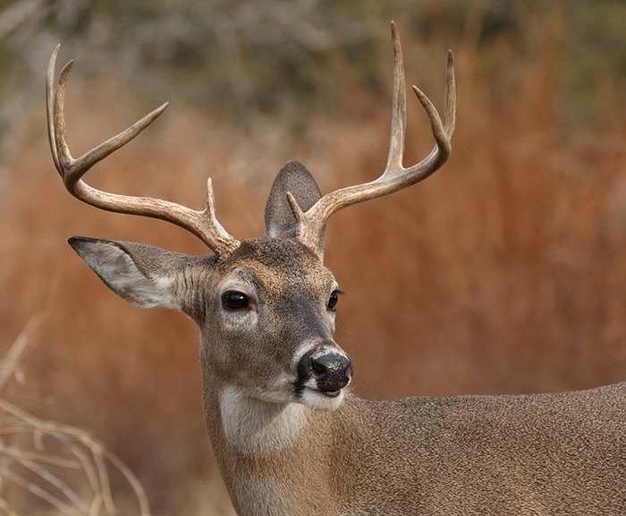 ��� � ���� ����� � ����� - 3