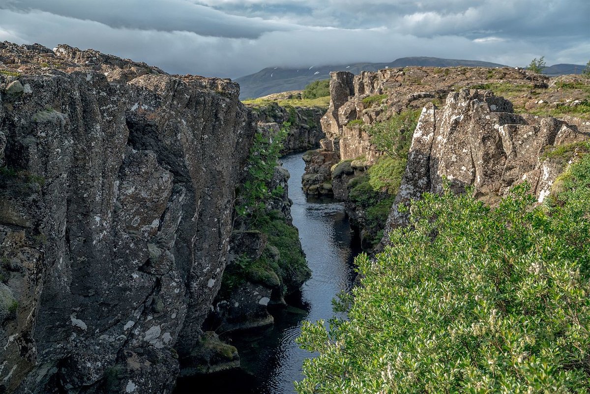 Ð¢Ð¸Ð½Ð³Ð²ÐµÐ´Ð»Ð¸Ñ