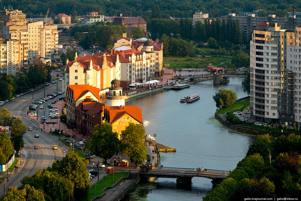 калининград картинки города фото