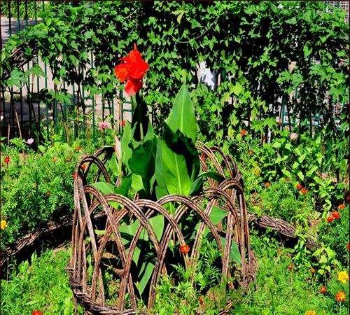 клумбы из ивовых прутьев фото