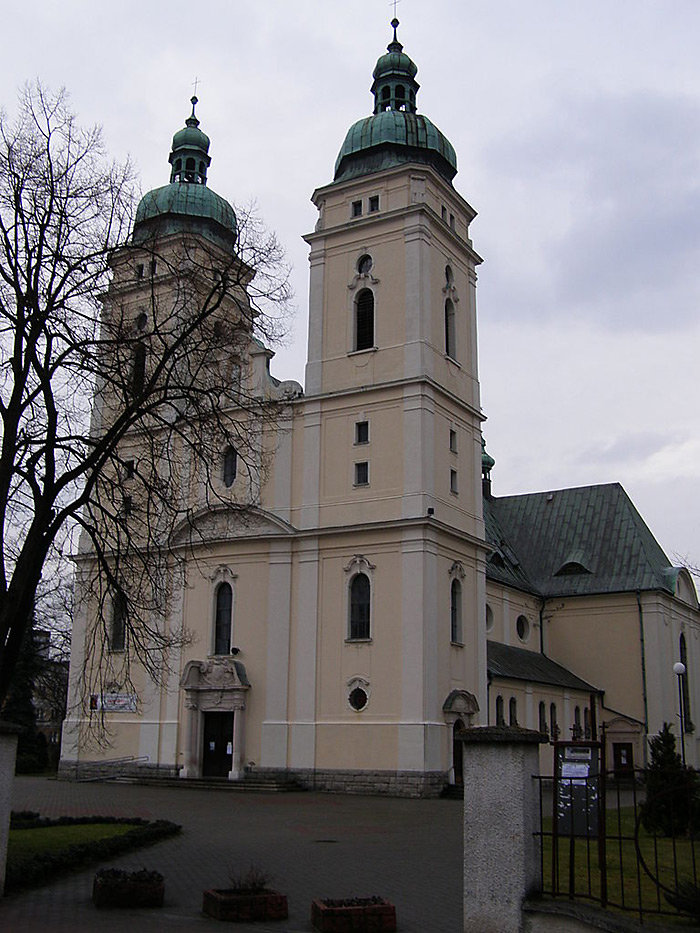 дьёр кафедральный фото