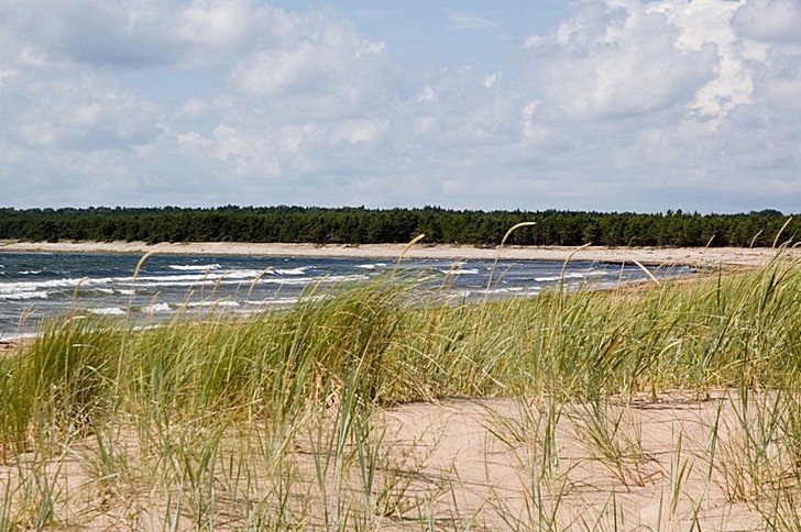 Национальный парк Вильсанди фото