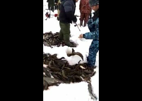 зимняя рыбалка фото