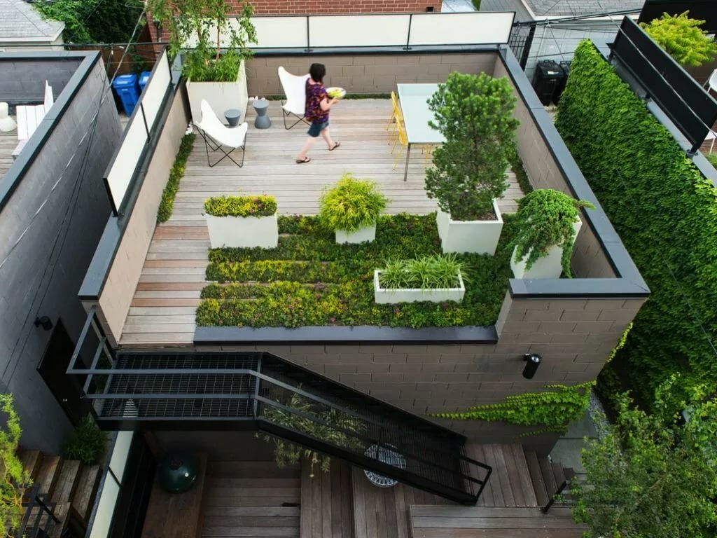 плоская кровля green roof фото