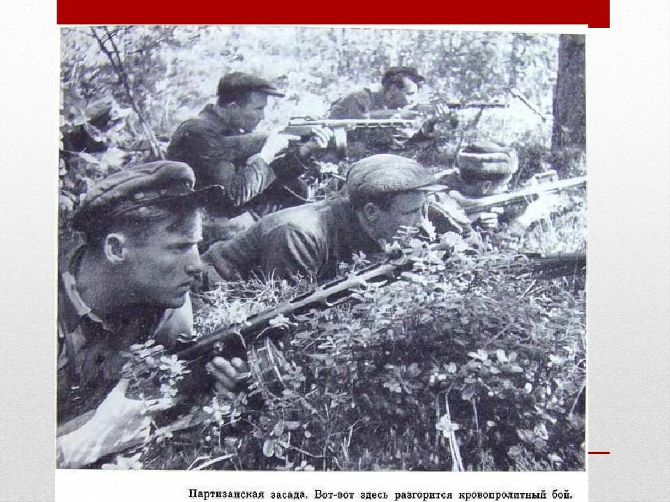 партизанское движение 1941-1945 фото