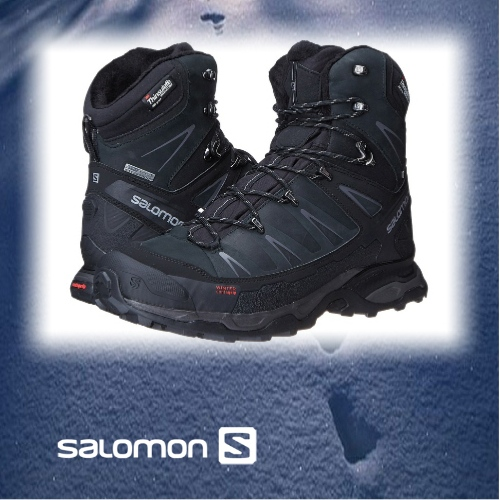 salomon quest 4d 2 gtx winter фото