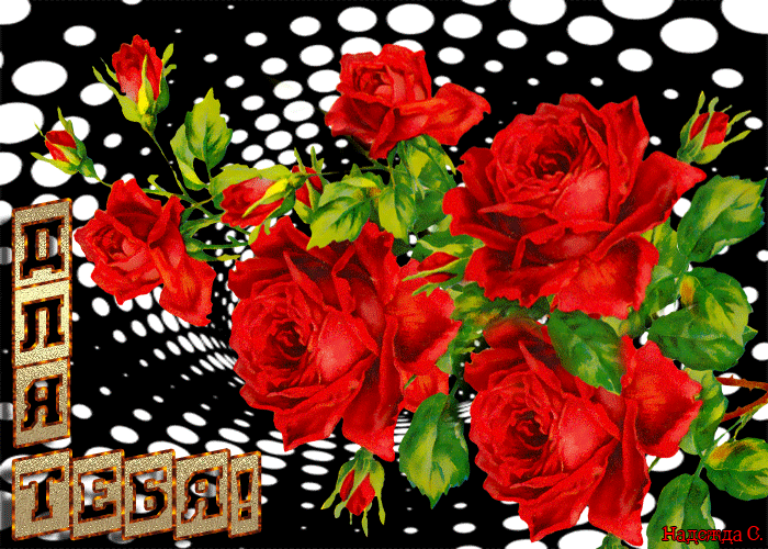 Цветы, розы для тебя !