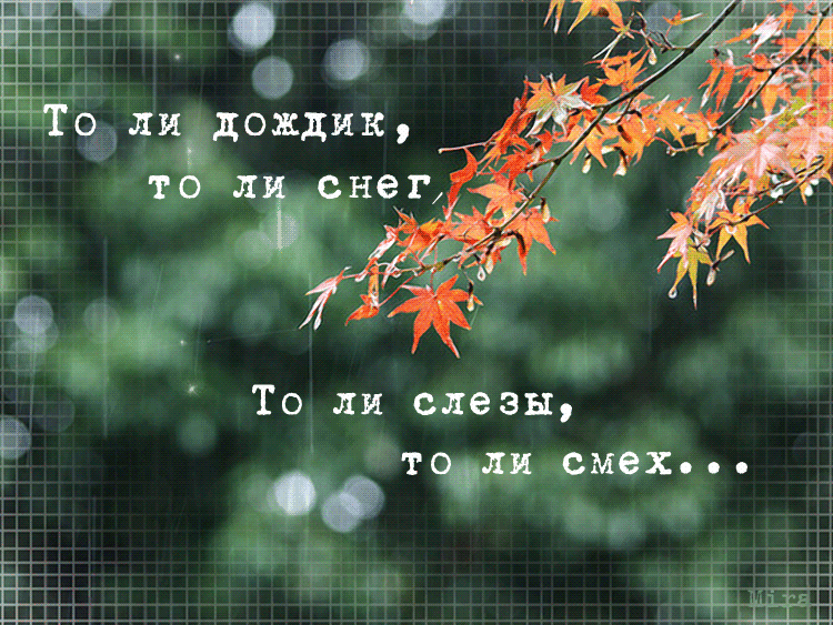 Картинки с дождем с надписями
