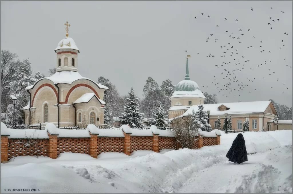 оптина пустынь зимой фото