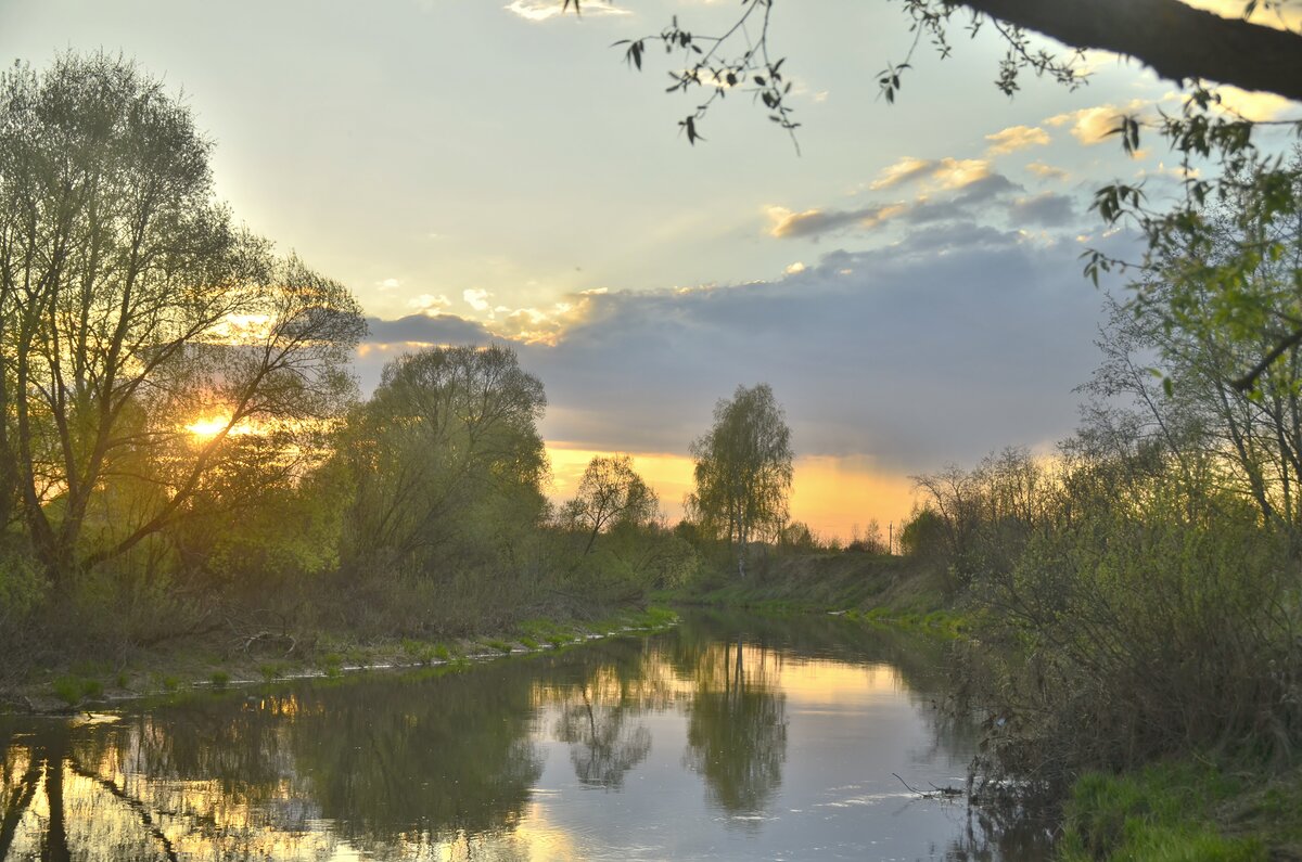 утро на реке фото