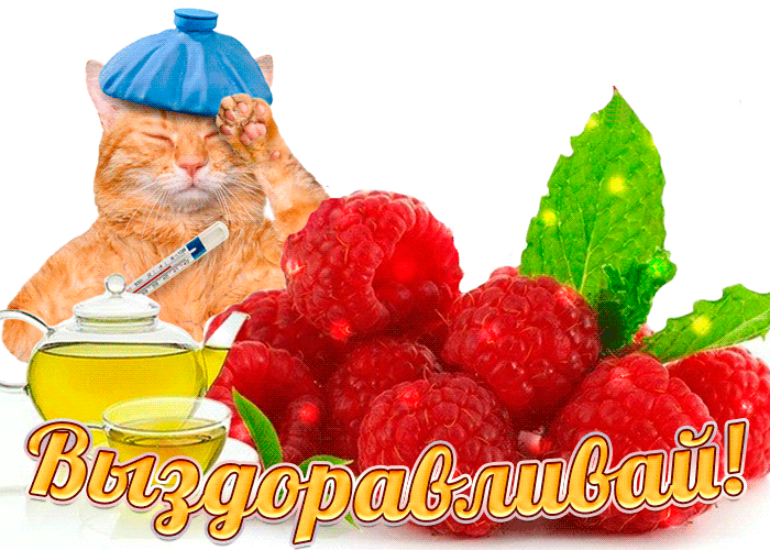 �������� ����������� �� �����