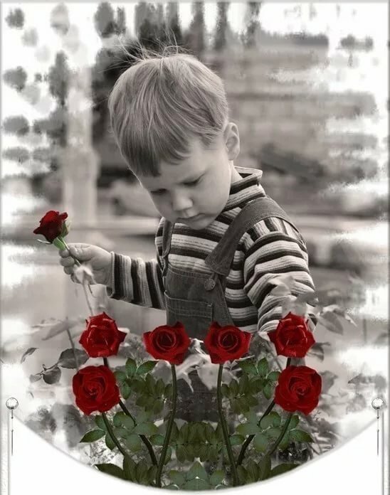 Картинка мальчик дарит розу