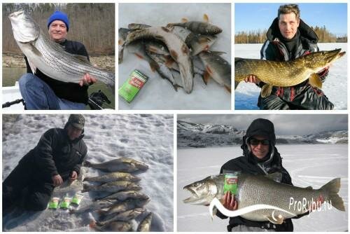 зимний активатор клева fish hungry фото