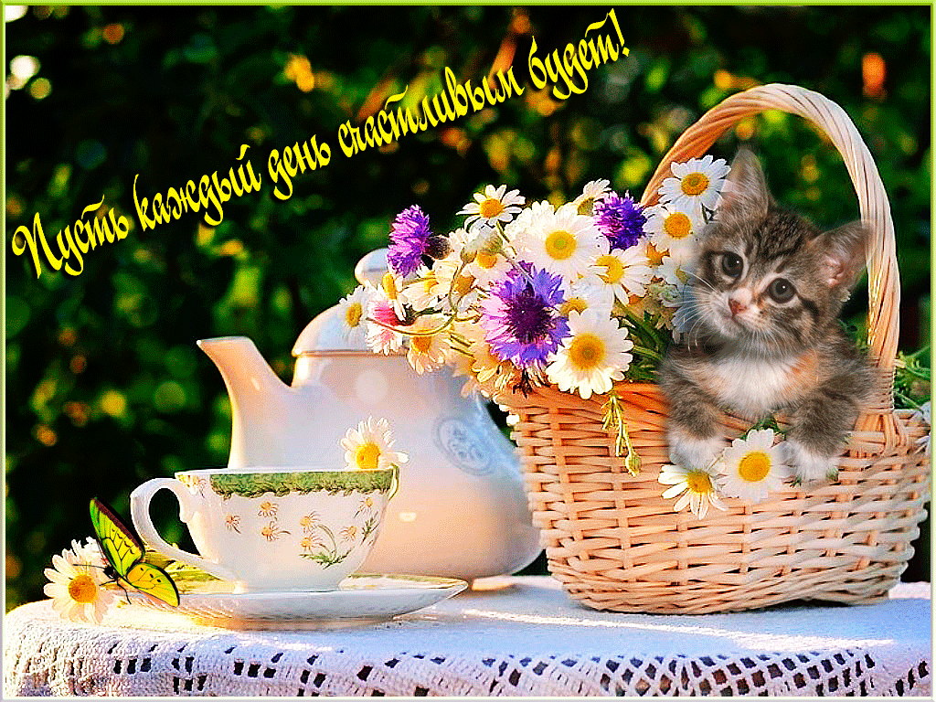 ������� ��� ��������, �������� ���