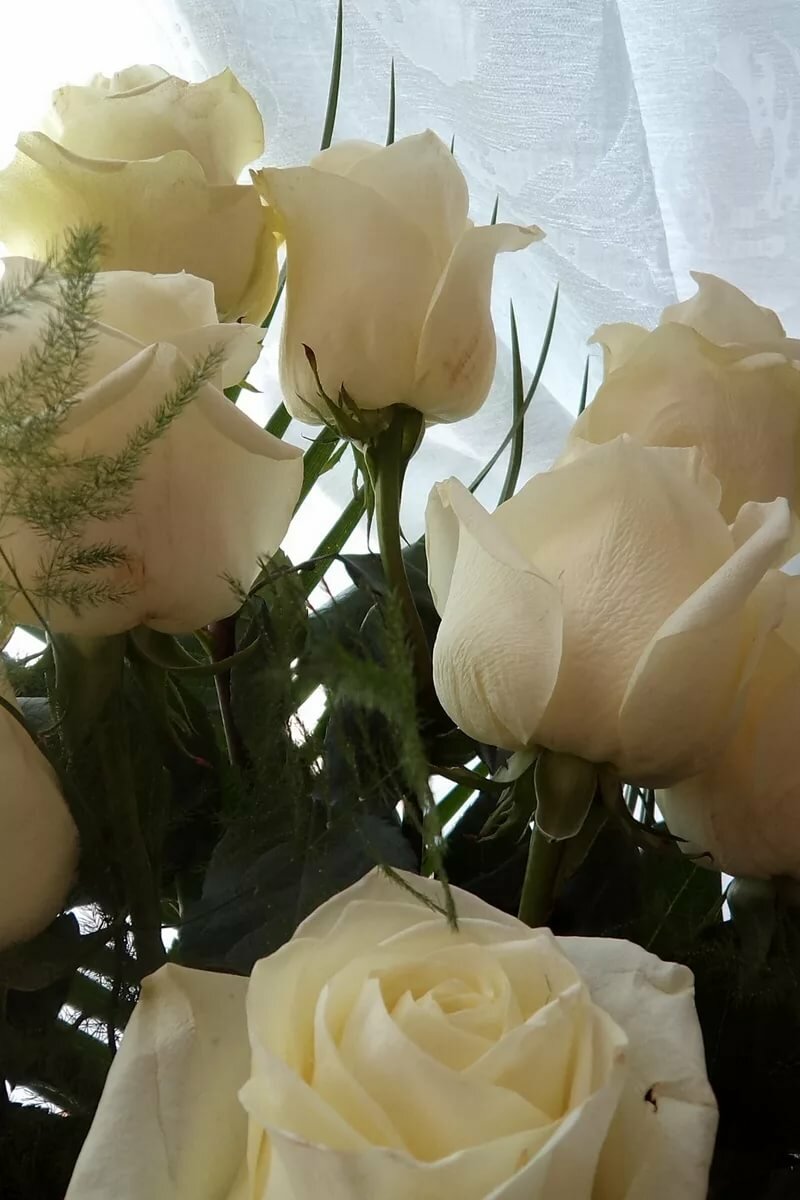 ������ ������ ������ ���� �������� �� ���� ��������� ����������