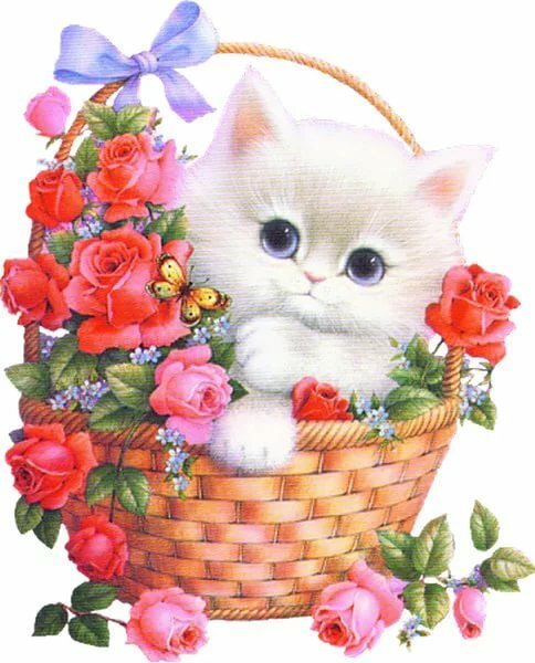 �������� ����������