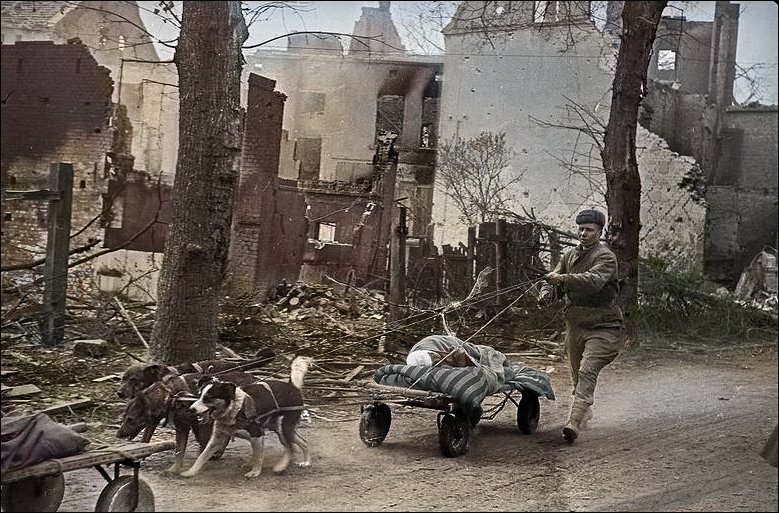 первая чеченская война 1994-1996 фото