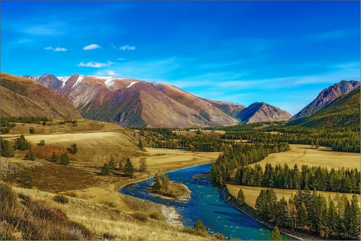 река джазатор горный алтай фото