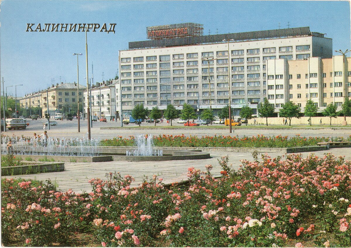 калининград 80е фото