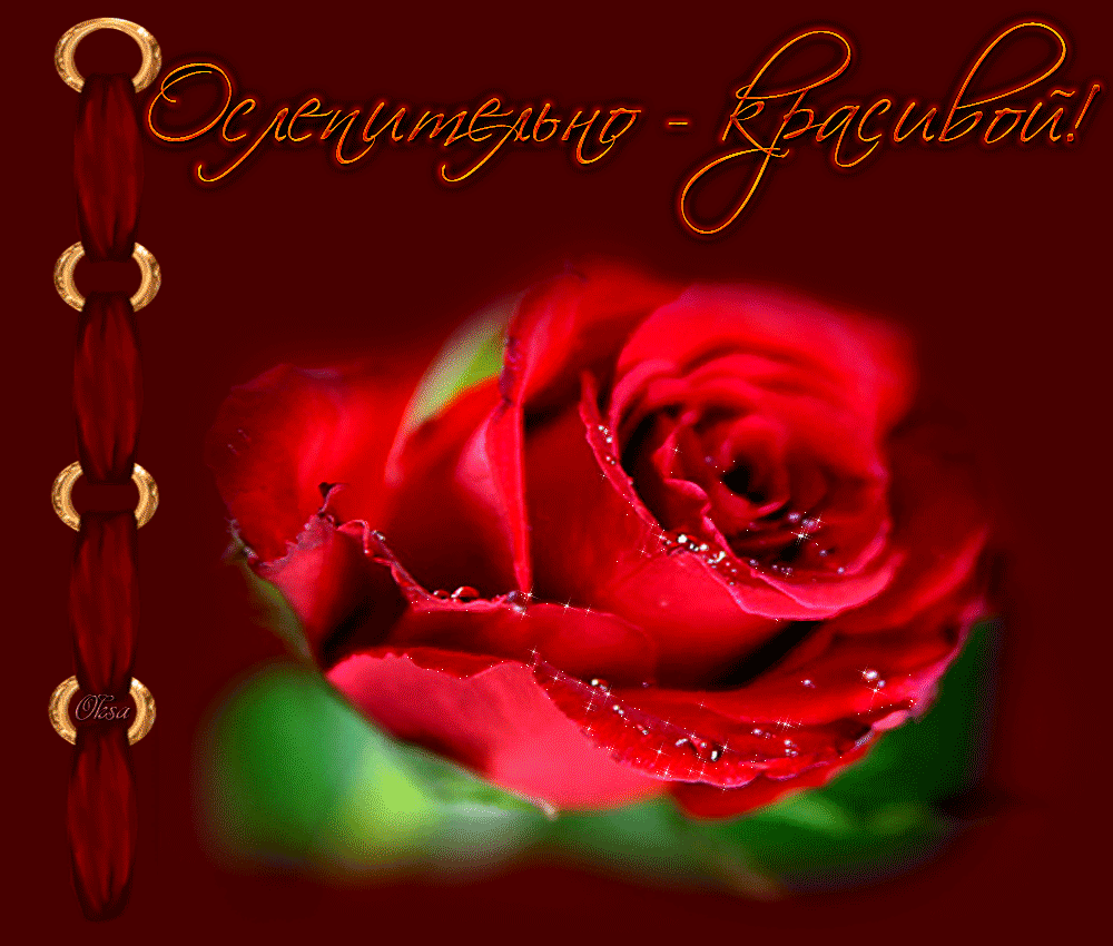 ���������, �������� ����� ��������