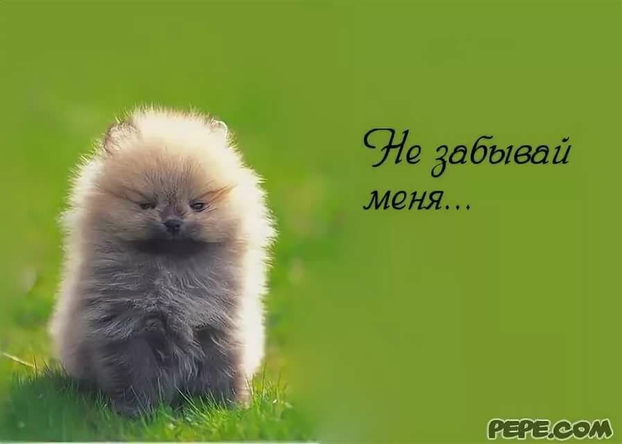 �������� �� ������� ��� ���