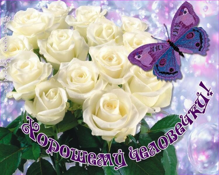 �������� �������� �������� ��������