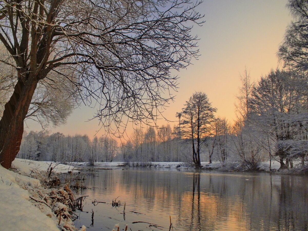 зимнее утро пейзаж фото