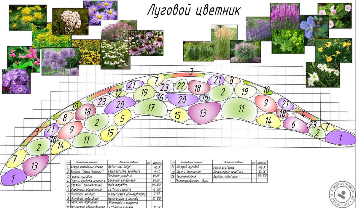 схема клумбы фото