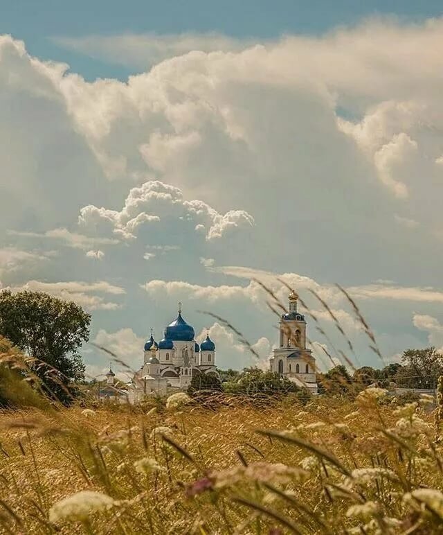 храм сретения господня гаврилково фото
